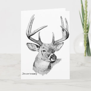 Whitetail Deer Card