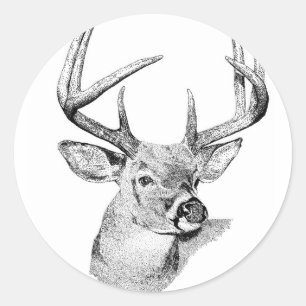 Whitetail Deer Classic Round Sticker
