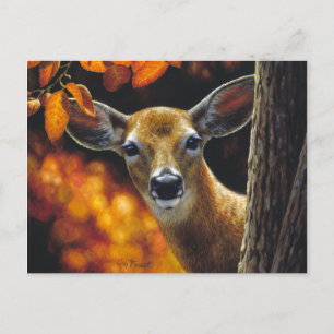 Whitetail Deer Doe Face Fall Colours Postcard