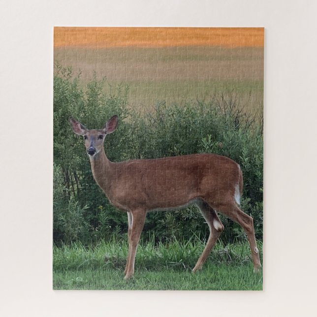 Whitetail Deer Doe Hayfield in Evening Sunset  Jigsaw Puzzle (Vertical)