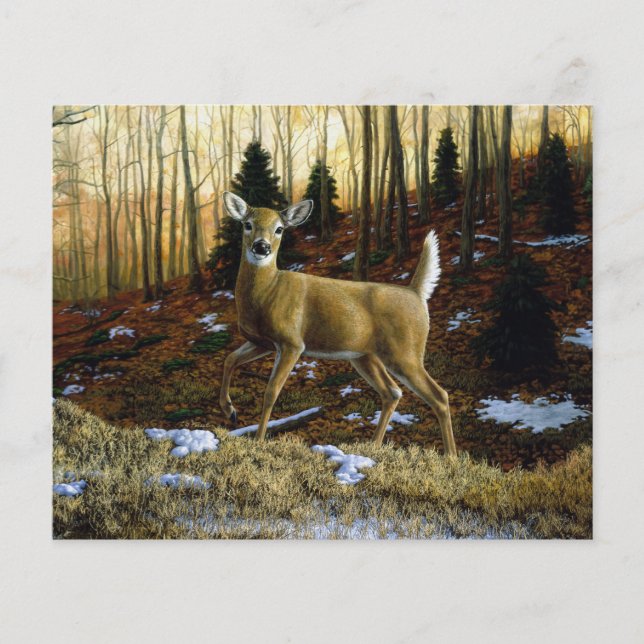 Whitetail Deer Doe in Autumn Forest (Front)