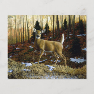 Whitetail Deer Doe in Autumn Forest