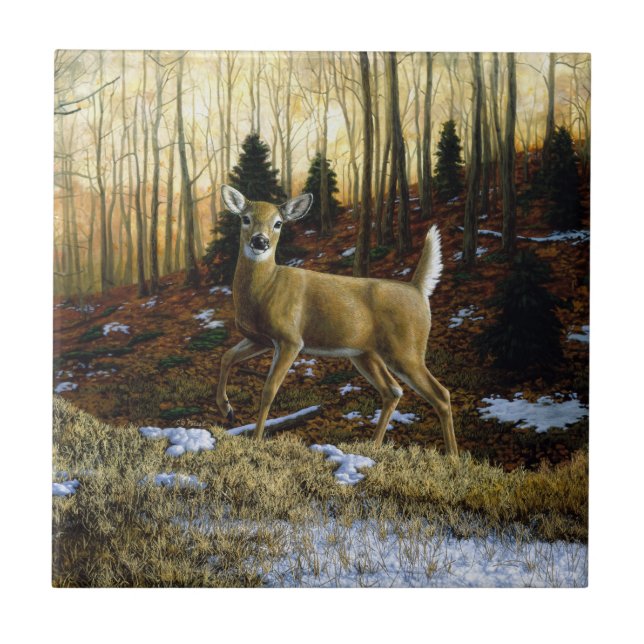 Whitetail Deer Doe in Autumn Forest Ceramic Tile (Front)