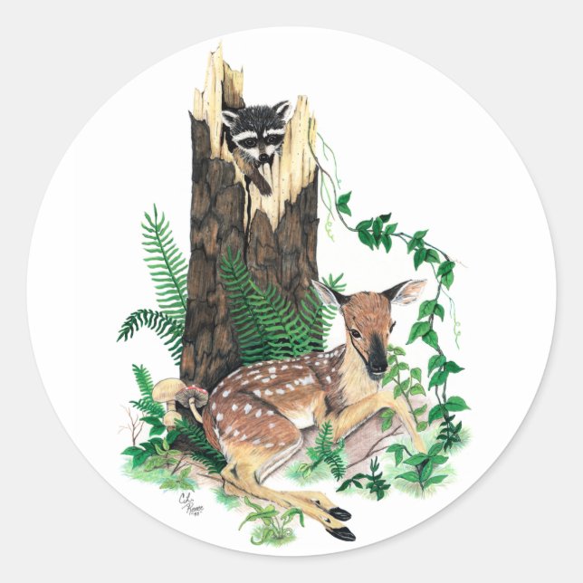 Whitetail Deer Fawn and Racoon Sticker (Front)