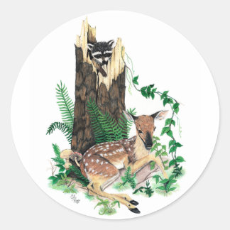 Whitetail Deer Fawn and Racoon Sticker