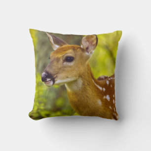 Whitetail deer fawn in Whitefish, Montana, USA Cushion