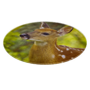 Whitetail deer fawn in Whitefish, Montana, USA Cutting Board