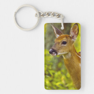 Whitetail deer fawn in Whitefish, Montana, USA Key Ring