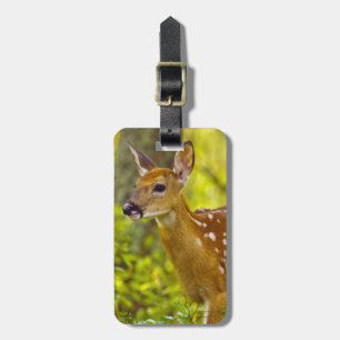 Whitetail deer fawn in Whitefish, Montana, USA Luggage Tag