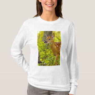 Whitetail deer fawn in Whitefish, Montana, USA T-Shirt