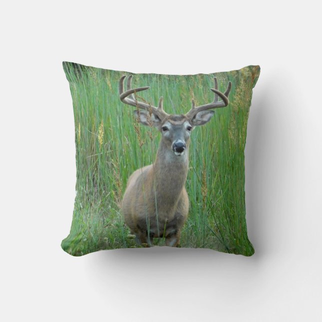 Whitetail Deer Green Field Pillow (Front)