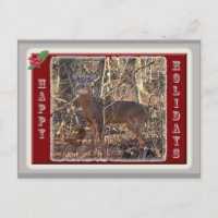 Whitetail Deer Happy Holidays Items