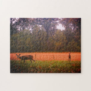 Whitetail Deer In A Field Jigsaw Puzzle
