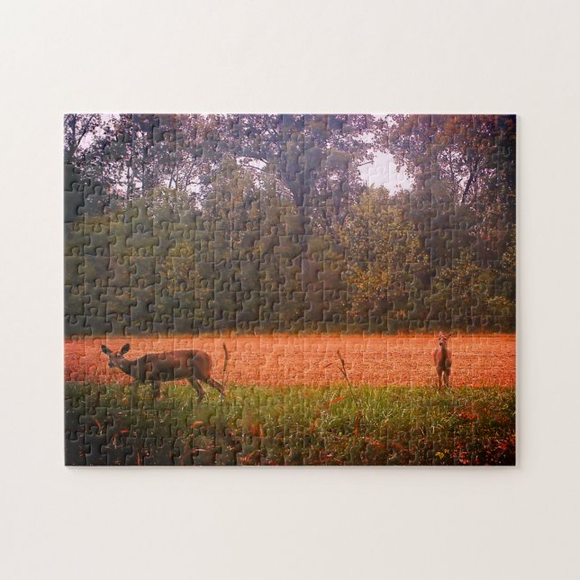 Whitetail Deer In A Field Jigsaw Puzzle (Horizontal)