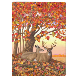 Whitetail Deer in Autumn New England Fall Colours Clipboard