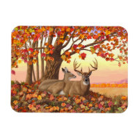 Whitetail Deer in Autumn New England Fall Colours