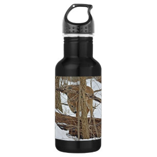 Whitetail Deer In Snow 532 Ml Water Bottle
