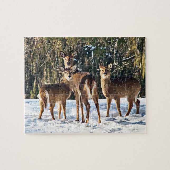 Whitetail Deer in Snow Jigsaw Puzzle (Horizontal)