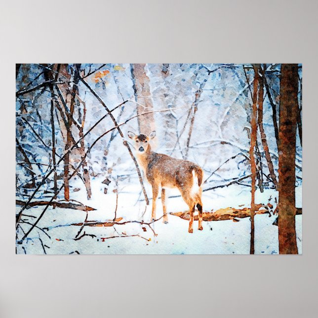 Whitetail Deer in Snow Watercolor Painting Art Poster (Front)