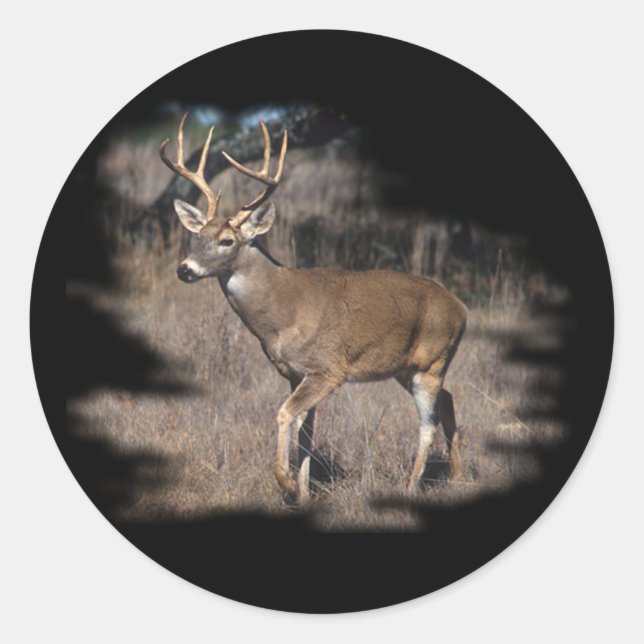 Whitetail deer in the field classic round sticker (Front)