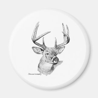 Whitetail Deer Magnet