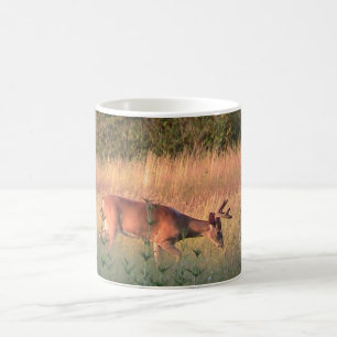 Whitetail Deer Mug