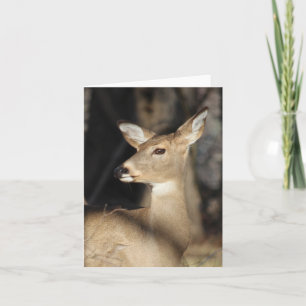 Whitetail Deer Notecard - Blank Inside