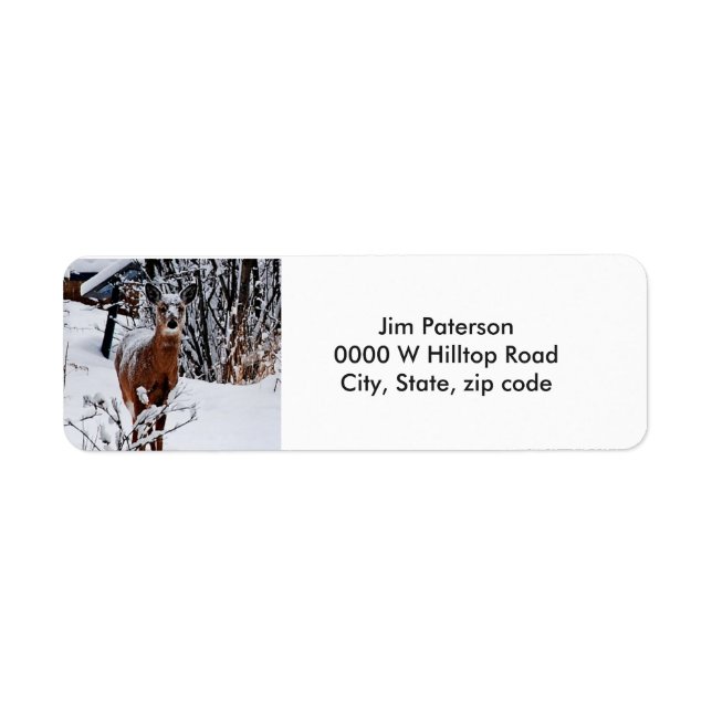 Whitetail Deer Return Address Labels (Front)
