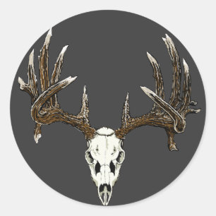 Whitetail deer skull 1 classic round sticker