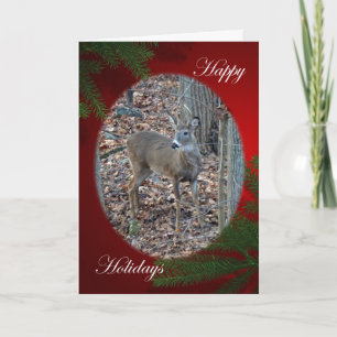 Whitetail Deer Spike Buck Happy Holidays Series Holiday Card