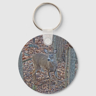 Whitetail Deer Spike Buck Series Key Ring