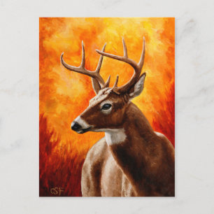 Whitetail Deer Trophy Buck Head Postcard