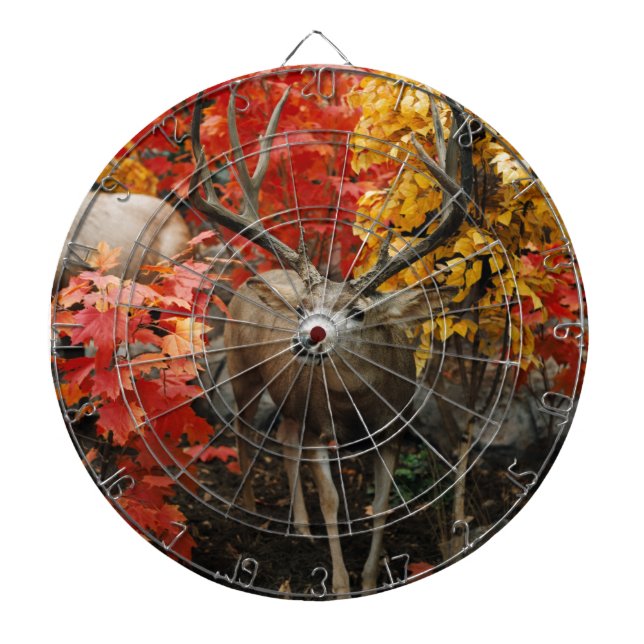 Whitetail In Autumn Dartboard (Front)