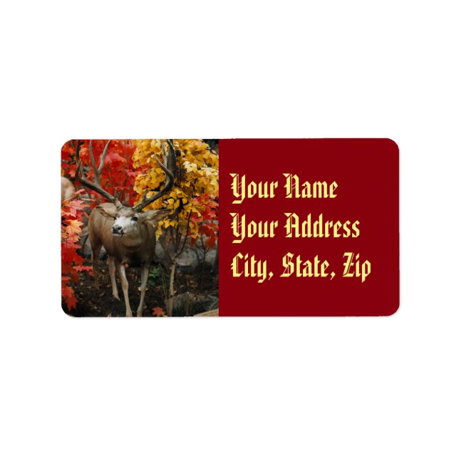 Whitetail In Autumn Label (Front)