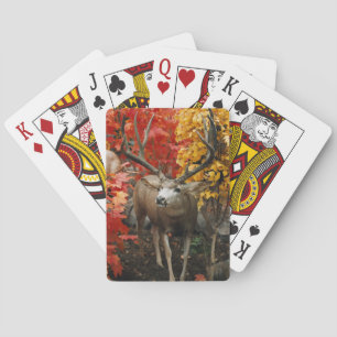 Whitetail In Autumn Playing Cards
