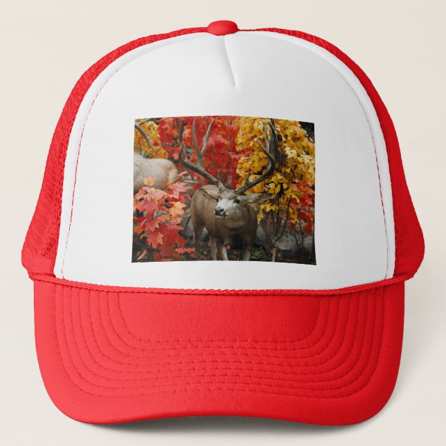 Whitetail In Autumn Trucker Hat (Front)