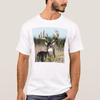 Whitetail King