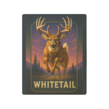Whitetail Sign