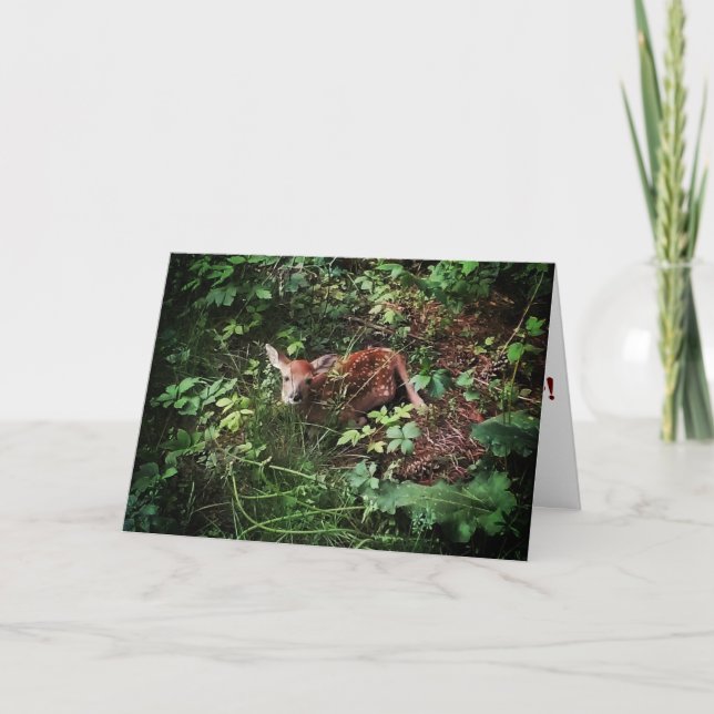 "Whitetail Woods Deer" Get Well Card (Front)