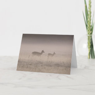 Whitetailed Deer - Quiet Winter Morning Card