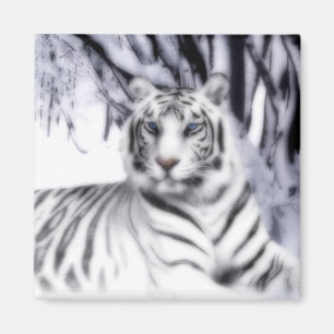 WhiteTiger Magnet