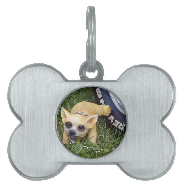 Whiz Kid Pet ID Tag (Front)