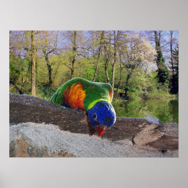 Who are you? Cute Lori Poster (Front)