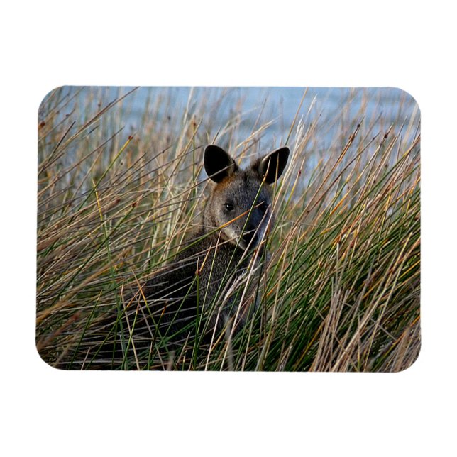 Who Are You Magnet (Horizontal)