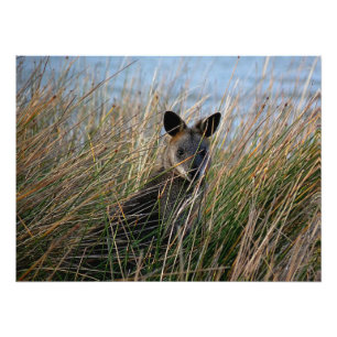 Who Are You Photo Print