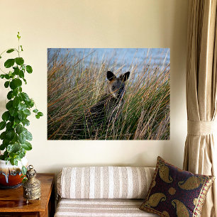 Who Are You Photo Print
