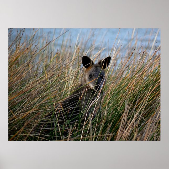 Who Are You Poster (Front)