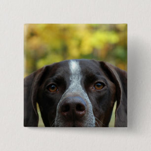Who Dat Dog? 15 Cm Square Badge
