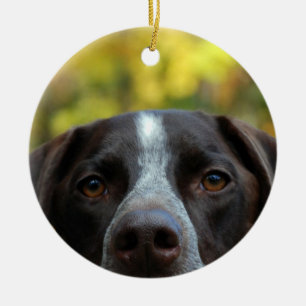 Who Dat Dog Ceramic Ornament