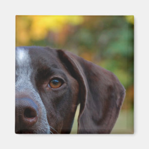 Who Dat Dog? Magnet